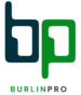 BurlinPro Consulting